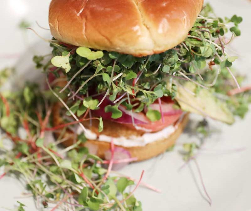 Delicous burger with microgreens